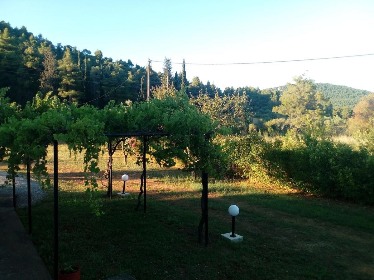 Villa Sandra Panormos  Exterior photo